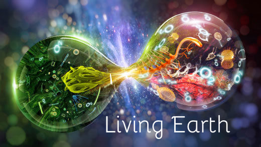 living earth institute